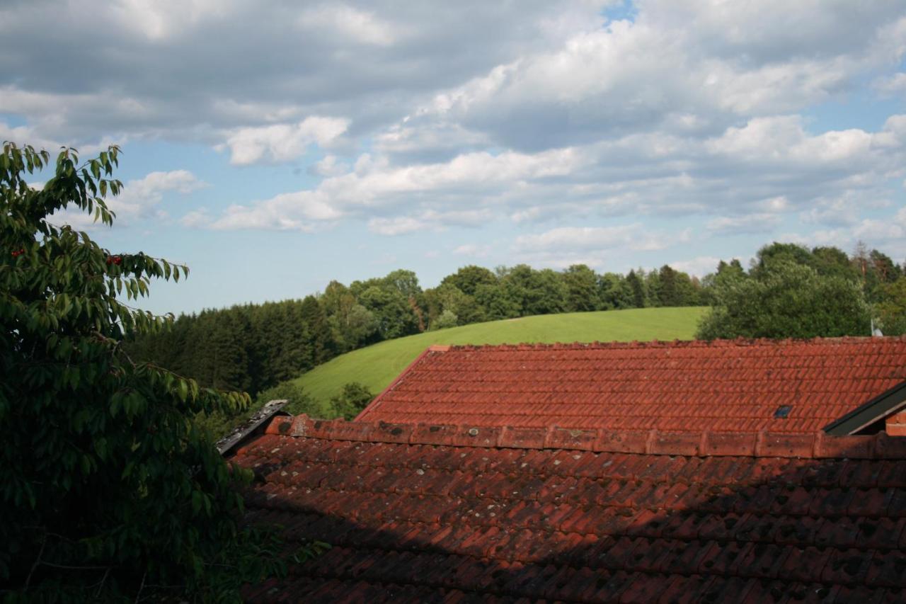 Liebevolle Fewo Im Bayerischen Wald Witzmannsberg ภายนอก รูปภาพ